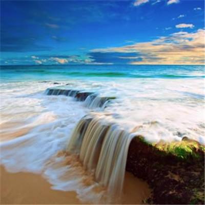 半导综合体育下载截图